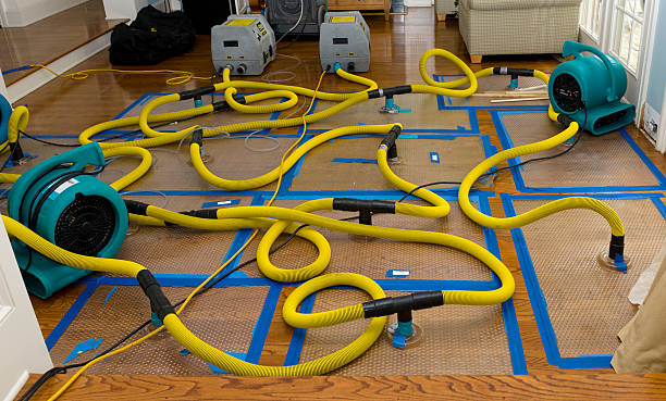 Professional Flood Damage Restoration technician working in Lexington, MN